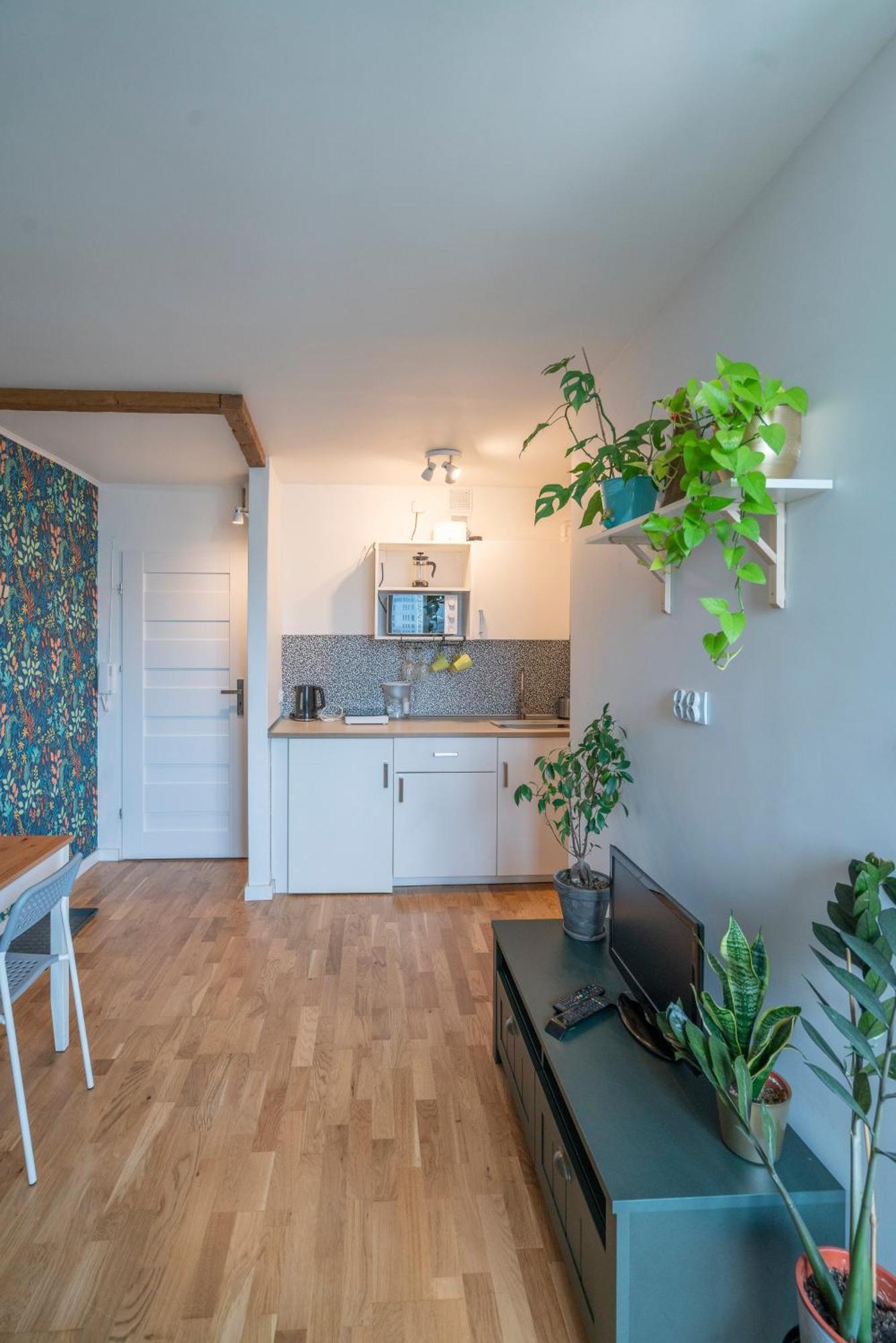 Green Studio In The City Center Of Вроцлав Екстериор снимка
